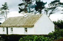 Reetdachhaus in Clifden. Bild vom Dia. Aufnahme: Juli 1991.