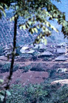 Doi Tong im Norden Thailands. Bild vom Dia. Aufnahme: Februar 1989.