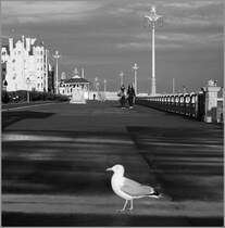 Hier gilt der Fokus eher den Geauden im Hintergrund - oder Brigton einmal anders gesehen. 25. April 2016