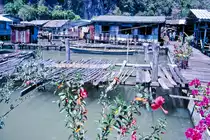 Fischerdorf im Nationalpark Krabi im Sden Thailands. Bild vom Dia. Aufnahme: Februar 1989.