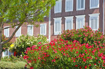 Bestand an Sončno nabreje in Izola. Aufnahme: 29. Juli 2016.