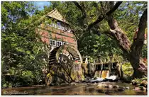 Wasserm�hle an der Wieste in Stuckenborstel, Ende Mai 2014