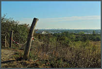 Blick vom 77 m hohen Alpengipfel des Freizeitparks Marienfelde, einer rekultivierten Mlldeponie, auf Berlin. (03.10.2016)