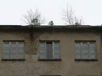 Die Natur kommt zurck. 30.12.2007, Prora