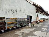 Benediktinerkloster Einsiedeln, die Grtnerei - 02.10.2015