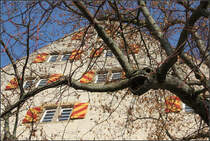 . Wie ein Wasserspeier in Form eines Tierkopf -

...wirkt dies Astgabelung eines Baumes auf der Terrasse des Alten Zeughausen in Schwbisch Hall.

22.01.2017 (M)

