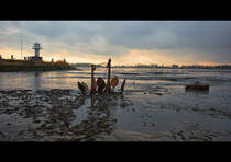 Zwei Anker liegen derzeit am Elbstrand in Glckstadt (Hafenkopf). Das widerum ist ein interessantes Motiv! Fr jedermann erreichbar :-)



Aufnahmezeit: 2017:02:04 15:12:26