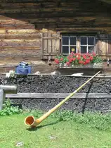 Wer m�chte, der darf auch mal ins Alphorn blasen, wenn das mal so einfach geht! M�glich war es auf der Alpe Gschwendnerberg, eine uralte noch urspr�ngliche Alpe (Oberallg�u - Sommer 2008)