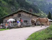 Buchrfainer-Alpe im Rappalpental hinter Oberstdorf (Landkreis Oberallg�u - Sommer 2004)