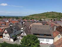 Aussicht auf den Ort Kiechlinsbergen im Norden des Kaiserstuhls (14.08.2016)