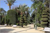 Cdiz. Im Parque Genovs schaffen die Grtner pflanzliche Kunstwerke. 19.04.2017