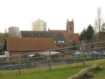 Alt und Neu in berlin-Marzahn, 17. 1. 2008