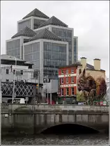 Dublin. M�hsam ern�hrt sich das Eichh�rnchen im Gro�stadtdschungel zwischen den modernen Hochh�usern am George's Quay. 28.04.2017