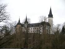 Das Schloss Purschenstein in Neuhausen versteckt sich bei trben Wetter hinter Bumen, 20.01.08