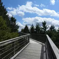 WALDBR�L(BERGISCHES LAND)- PANARBORA -BAUMWIPFELPFAD
Ein wundersch�nes Erlebnis-ausgehend vom  PANARBORA -Aussichtsturm auf einem �u�erst stabilen und
soliden Holzpfad in Baumwipfelh�he,bis zu 23 Meter �ber Grund und mit wundersch�nen Aussichten
ins BERGISCHE LAND und SIEGERLAND hinein,hier bei Traumwetter am 9.8.2017...