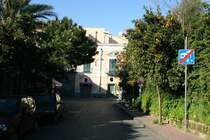 Orangenb�ume s�umen den Weg in der Via Pizzaco.