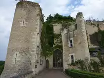 Chateau Montresor, erbaut ab dem 10. Jahrhundert durch den Grafen von Anjou Foulques Nerra, neu errichtet im 14. Jahrhundert (08.07.2017)