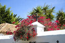 Kreuz auf der Mauer vor der Kirche Santa Maria de Betancuria.
Aufnahme: 19. Oktober 2017.