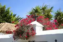 Kreuz auf der Mauer vor der Kirche Santa Maria de Betancuria.
Aufnahme: 19. Oktober 2017.
