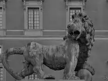 Eine L�wenskulptur am Stockholmer Schloss. (Oktober 2011)