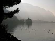Mystisch, das Ch�teau de Chillon im Morgennebel.
(15.02.2008) 
