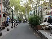 Ceret, Platanen am Boulevard du Marechal Joffre (30.09.2017)