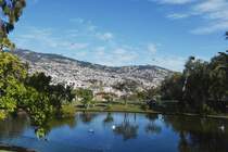 FUNCHAL (Concelho de Funchal), 21.01.2018, im Parque Santa Catarina