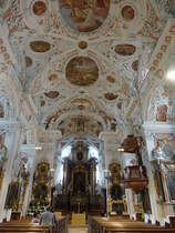 Speinshart, Innenraum der Klosterkirche Unbefleckte Empfngnis Mari (19.05.2018)