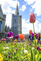 St. patrick's Cathedral in der irischen Hauptstadt Dublin. Patrick war ein irischer Bischof, der wahrscheinlich im 5. Jahrhundert lebte und als erster christlicher Missionar in Irland gilt
Aufnahme: 10. Mai 2018. 