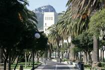 Eine unglaublich groe Anzahl von Palmen sind das uere Erscheinungsbild von Salerno.