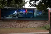 Stralsund. Schaufenster des Deutschen Meeresmuseums am Knieperwall. Gezeigt wird ein Walskelett. 28.07.2018