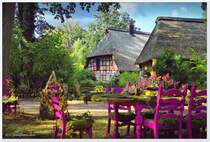 Vor dem Forsthaus in Erhorn.
Die Sitzgruppe erstrahlt in der Farbe der heimischen Calluna (Besenheide), dekoriert mit den Pflanzen der Region. Walderlebnis-Zentrum Erhorn. September 2018