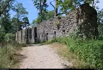 Blick auf die Burgruine Hohenhewen auf dem gleichnamigen Berg im Hegau.
[15.7.2018 | 12:49 Uhr]