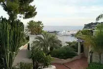 Blick in Richtung Hafen von Monaco im Abendlicht, aufgenommen in der N�he des bekannten Casinos. Imposant sind die zahlreichen Kakteen, wie hier am linken Bildrand zu erkennen. 08.09.2018.