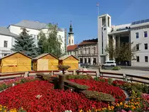 Miscolc, Blumenbeete und Blick auf die Ref. Kirche am St. Istvan Ter (05.09.2018)