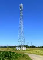 Holzhausen, neuer Handymast in der Rheinebene, Juni 2018