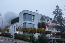 Ein modernes Haus im vorgrund und das Waldhaus Dolder im Hintergrund in Nebel  gekleidet . November 2018, Z�rich.