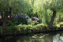 Irgendwo zwischen Lbbenau und Lehde