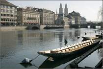 An der Limmat; im Hintergrund die Trme des Grossmnsters. 15.03.2008 (Matthias)