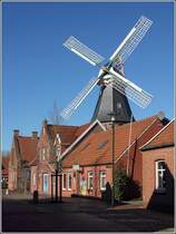 Ditzum (Gemeinde Jemgum). Die Flgel der mitten im Ort stehenden Windmhle berragen die benachbarten Dcher. Die Mhle wurde 1769/70 errichtet und erlebte seither eine wechselvolle Geschichte. 24.02.2019