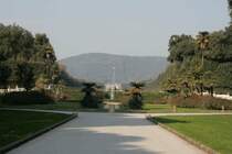 Im Frhling erwrtete ich hier ein Bltenmeer, so wie ich es Campanien grad vorfinde. Doch hier war ich auch vom Anblick einiger Gnsblmchen enttuscht.