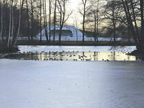 See im Westend Park (vermutlich Schwansee) von Franzensbad (Frantiskovy Lazne ) am 16. Februar 2019