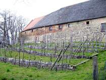 Der historische Standort des Weinberges am Tauchaer Schlo�, 28.03.08