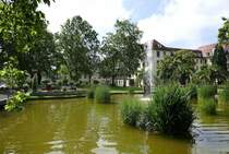 Freiburg, kleine Parkanlage im Universittsklinikum, Juni 2019