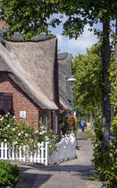 Reetdachhuser und Fuweg der Hauptstrae in Alkersum auf Fhr. Aufnahme: 3. Juli 2019.