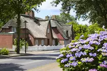 Reetdachh�user und Fu�weg der Hauptstra�e in Alkersum auf F�hr. Aufnahme: 3. Juli 2019.