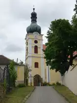 Vranov nad Dyj�, Pfarrkirche Maria Himmelfahrt, erbaut bis 1716 (29.05.2019)