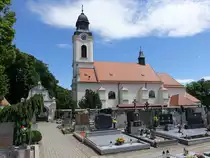 Velk� Pavlovice/ Gro� Pawlowitz, barocke Pfarrkirche Maria Himmelfahrt, erbaut von 1670 bis 1680 (31.05.2019)