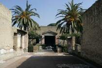 300 Jahre arch�ologische Ausgrabungen gaben viel Platz f�r die Entwikclung der Vegetation. Durch Palmen und B�sche bekommt die antike Ruinenstadt so ein lebendiges Aussehen. 