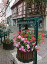 Besigheim, Kelter,  Presse zur Gewinnung von Frucht- und Obsts�ften in der Kirchstra�e (24.06.2018)